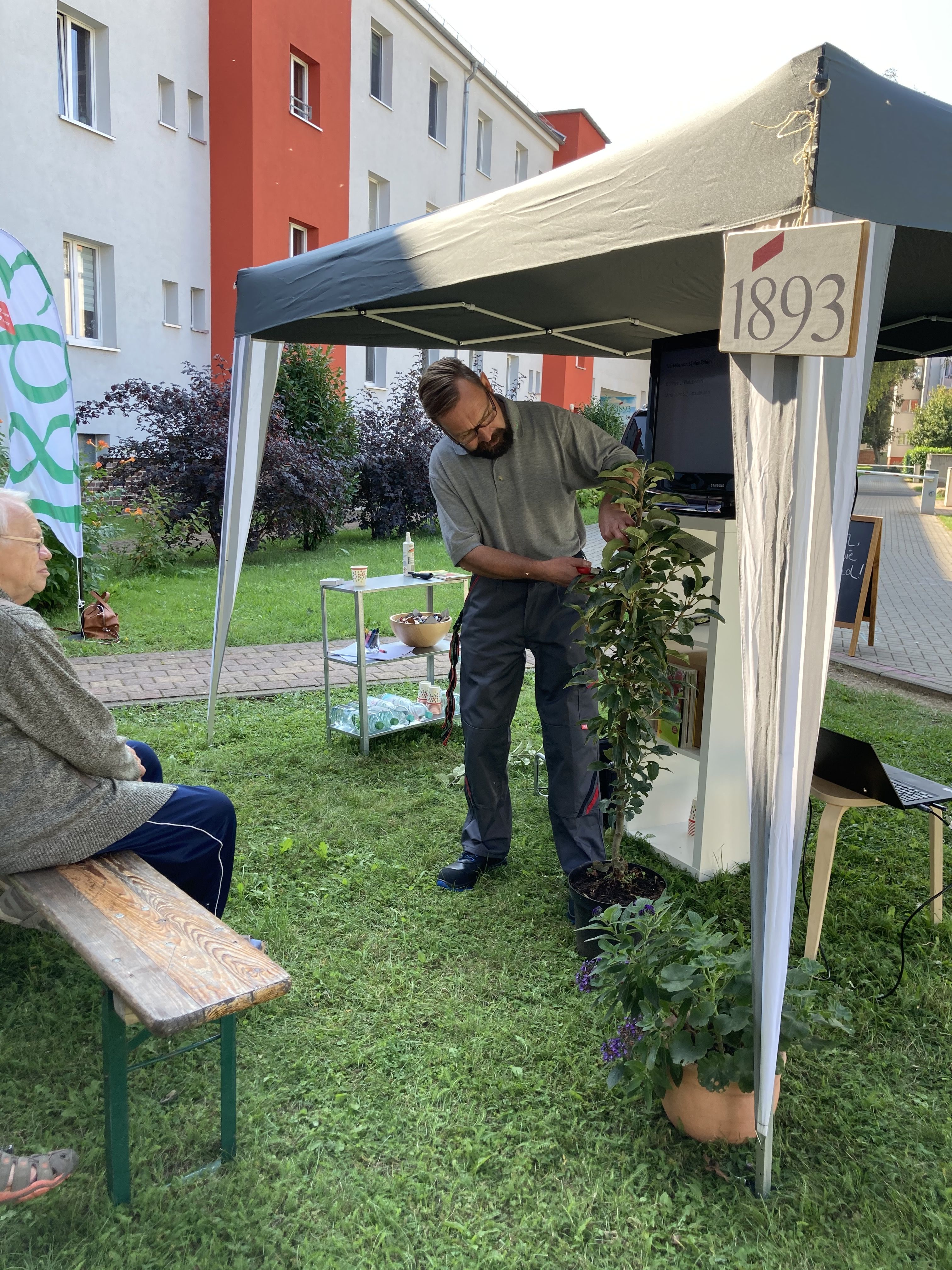Mann schneidet Pflanze unter einem Zelt mit Schild '1893', ältere Frau sitzt auf Bank und schaut zu, Wohngebäude im Hintergrund