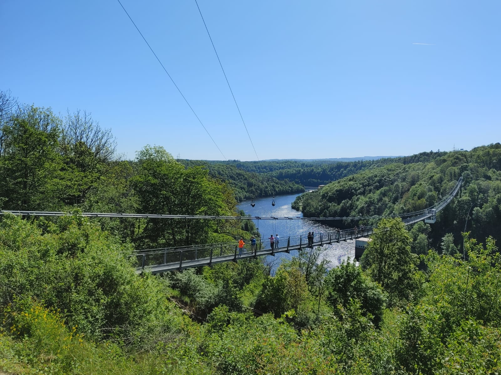 Hängeseilbrücke über einen Fluss im Harz mit mehreren Personen, umgeben von dichtem grünen Wald unter klarem blauem Himmel