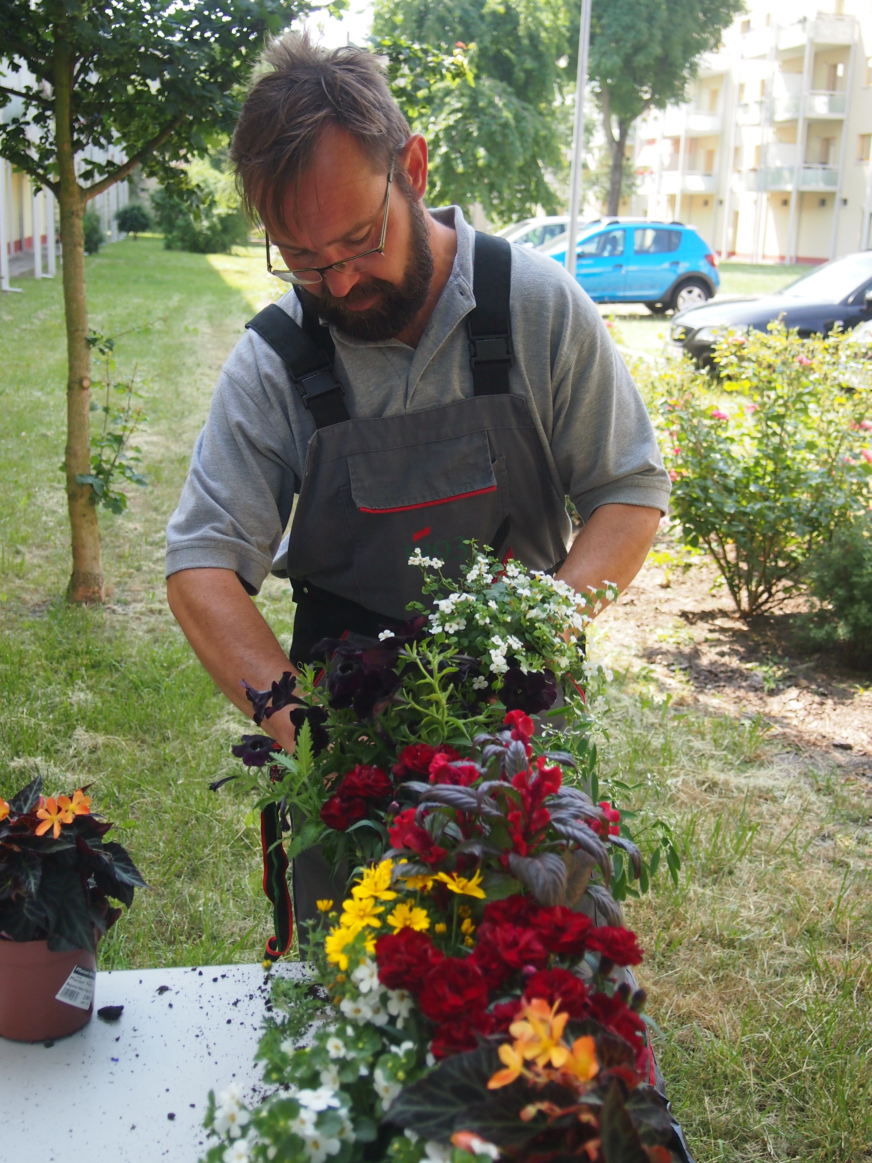 Mann mit Brille bepflanzt Blumentopf mit verschiedenen Blumen.